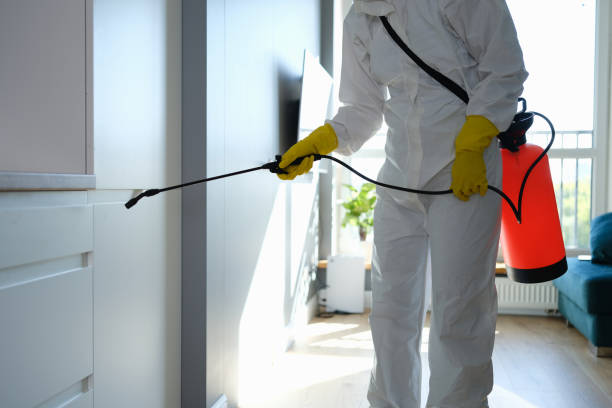 Best Commercial Mold Remediation in Candler Mcafee, GA