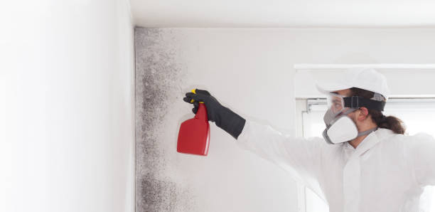 Best Mold Remediation for Specific Building Types in Candler Mcafee, GA