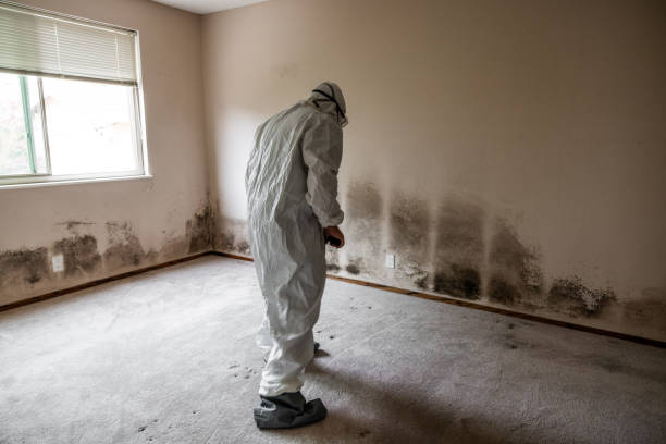 Best Mold Testing and Inspection Services in Candler Mcafee, GA