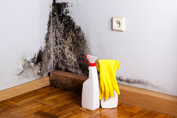 Best Bathroom Mold Remediation in Candler Mcafee, GA