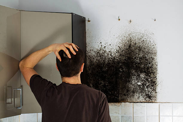 Best Residential Mold Remediation in Candler Mcafee, GA