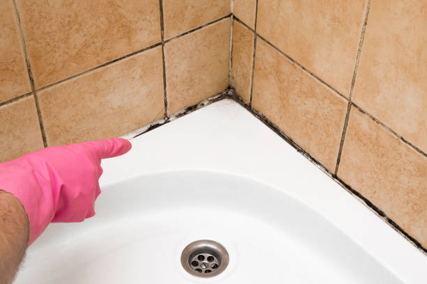 Best Health and Safety Mold Remediation in Candler Mcafee, GA